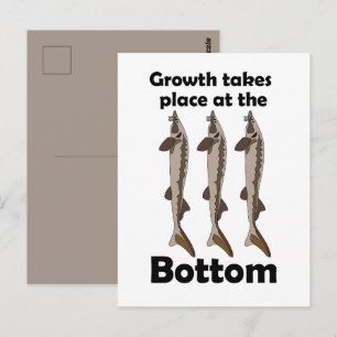 Störfisch-Bodenbewohner Inspirationszitat Postkarte