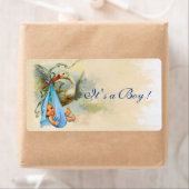 STORK BABY BOY SHOWER BLUE PINK (Insitu)