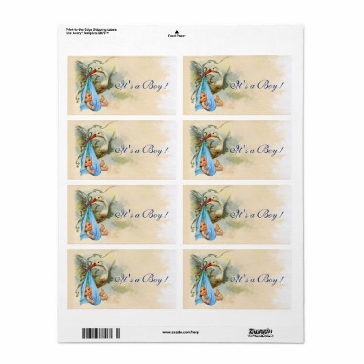 STORK BABY BOY SHOWER BLUE PINK (Vorne)