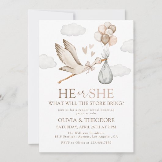 Stork Baby Delivery Er oder sie Geschlecht offenba Einladung (Vorderseite)
