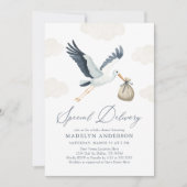 Stork Baby Dusche Einladung (Vorderseite)