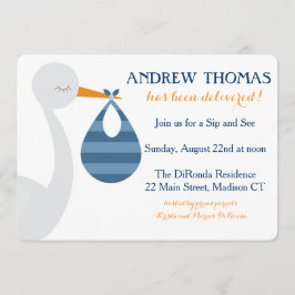 Stork Baby Einladung / Baby Ankündigung