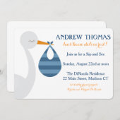 Stork Baby Einladung / Baby Ankündigung (Vorne/Hinten)