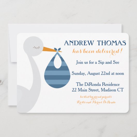 Stork Baby Einladung / Baby Ankündigung (Vorderseite)