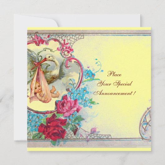 STORK BABY GIRL DUSCHPINK BLAUE FLORAL MONOGRAM EINLADUNG (Rückseite)