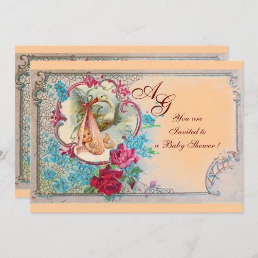 STORK BABY GIRL DUSCHPINK BLAUE FLORAL MONOGRAM EINLADUNG (Vorne/Hinten)