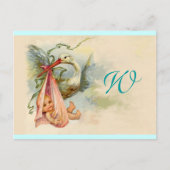 STORK BABY GIRL SHOWER 2 EINLADUNGSPOSTKARTE (Vorderseite)