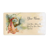 STORK BABY GIRL SHOWER PINK (Vorne)