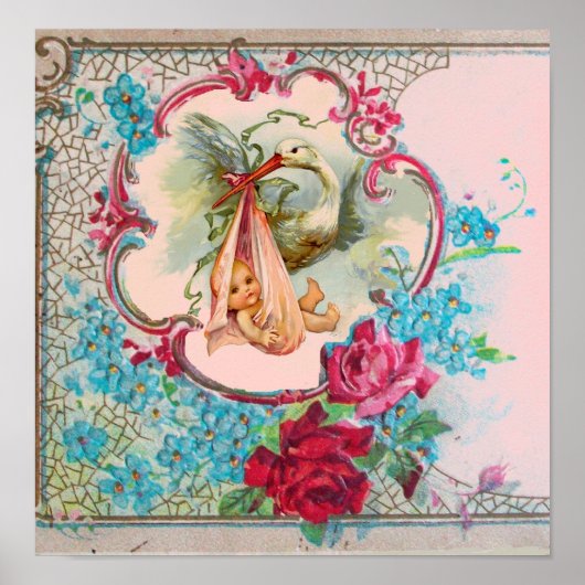 STORK BABY GIRL SHOWER POSTER (Vorne)