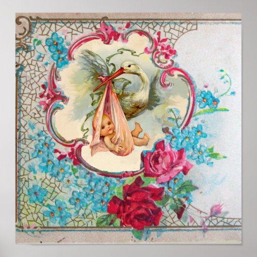 STORK BABY GIRL SHOWER POSTER (Vorne)