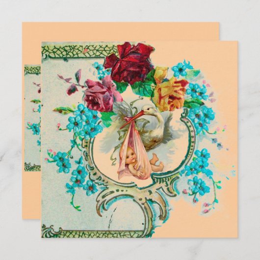 STORK BABY MÄDCHEN DUSCHE, PINKROSEN UND BLAUE BLU EINLADUNG (Vorne/Hinten)