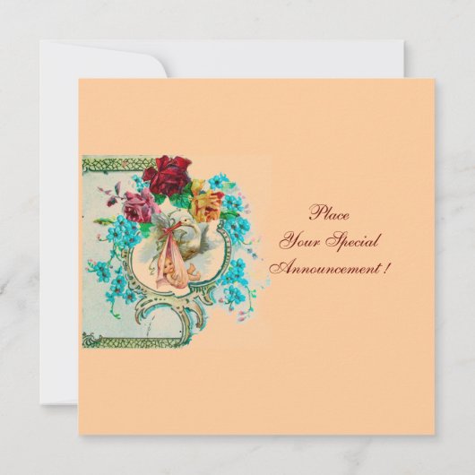 STORK BABY MÄDCHEN DUSCHE, PINKROSEN UND BLAUE BLU EINLADUNG (Rückseite)