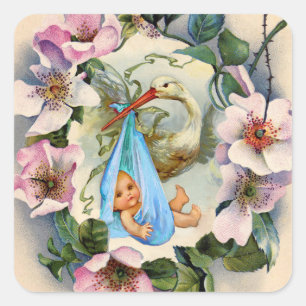 STORK BOY BABY SHOWER CROWING with PINK WILD ROSE Quadratischer Aufkleber