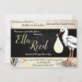 Stork Cream Baby Shower Einladungen (Vorderseite)