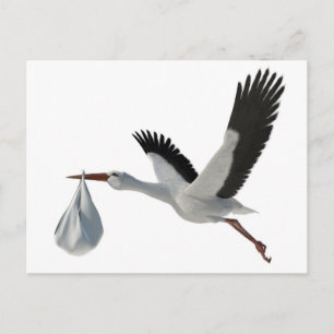 Stork Deliverle Postkarte
