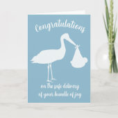 Stork Delivery Blue Boy Baby Gratulations Card Karte (Vorderseite)