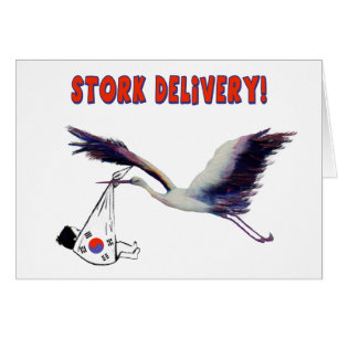 Stork Delivery! Wir Adoptierte aus Korea