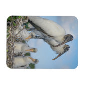 "Stork Family" Magnet (Horizontal)