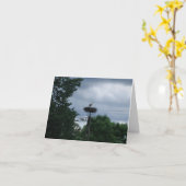 Stork Foto Baby Pregnancy Announccard Karte (Gelbe Blume)