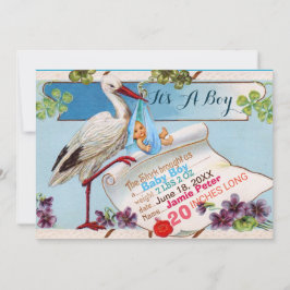 STORK, KLEEBLATTS BABY SHOWER GEBURTSTATT EINLADUNG