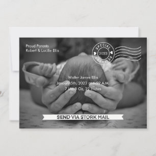 Stork Mail Geburtsankündigung Ankündigung