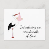 Stork Merchandise Postkarte (Vorderseite)