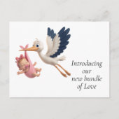 Stork Merchandise Postkarte (Vorderseite)