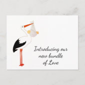 Stork Merchandise Postkarte (Vorderseite)