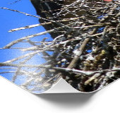 Stork Nest Fotodruck (Ecke)