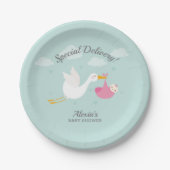 Stork Pink Girl Baby Bundle Baby Dusche Pappteller (Vorderseite)