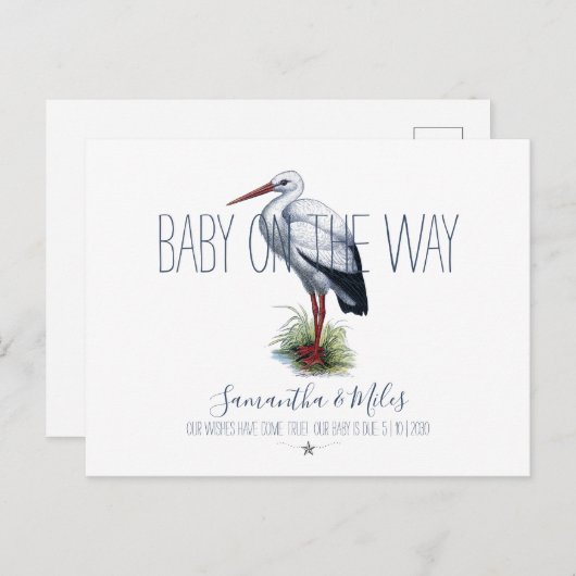 Stork Pregnancy Ankündigung (Vorne/Hinten)