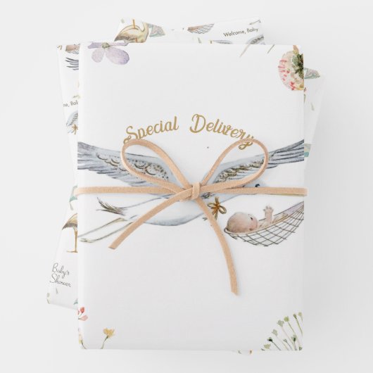 Stork Wildblume Ribbon Babydusche Geschenkpapier Set (Beispiel)