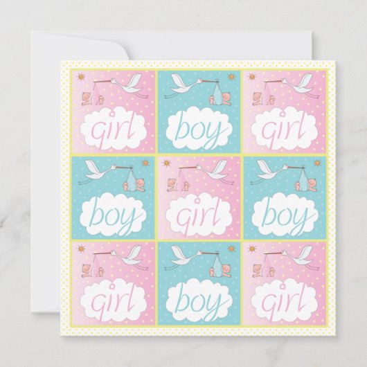 Storks Baby Gender Offenlegung Party Einladung (Vorderseite)