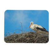 Stork's Nest Magnet (Horizontal)
