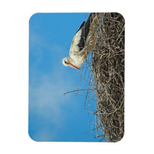 Stork's Nest Magnet