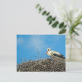 Stork's Nest Postcard Postkarte (Stehend Vorderseite)