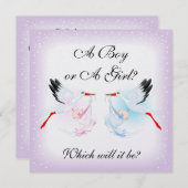 Storks und Babys Party-Invit Einladung (Vorne/Hinten)