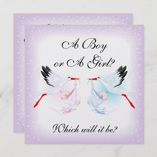 Storks und Babys Party-Invit Einladung (Vorne/Hinten)