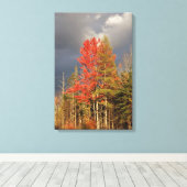 Storm Clouds Threaten New England Colors Leinwanddruck (Insitu (Holzboden))