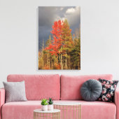 Storm Clouds Threaten New England Colors Leinwanddruck (Insitu (Wohnzimmer))