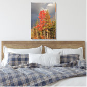 Storm Clouds Threaten New England Colors Leinwanddruck (Insitu (Schlafzimmer))