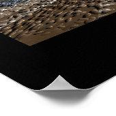 Storm Collector Poster (Ecke)