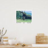 STORM STUART PARK 2021 POSTER (Küche)