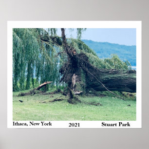 STORM STUART PARK 2021 POSTER