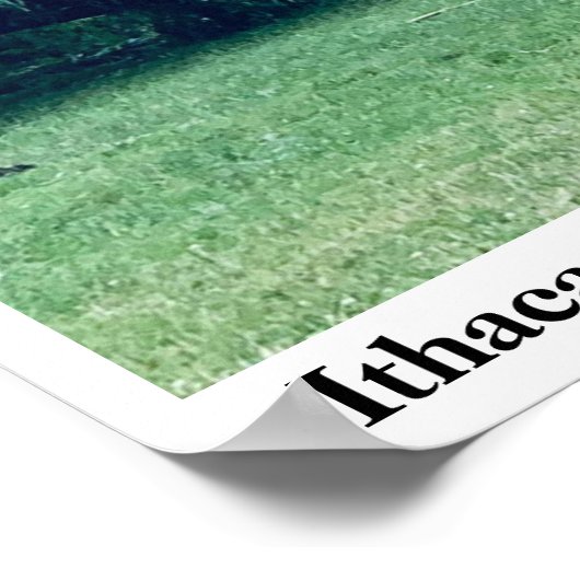 STORM STUART PARK 2021 POSTER (Ecke)