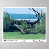 STORM STUART PARK 2021 POSTER (Vorne)