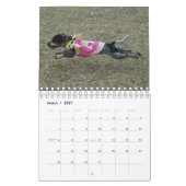 Stormi 2012 kalender (Mär 2027)