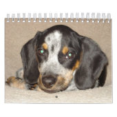 Stormi 2012 kalender (Titelbild)