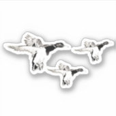 Stormo di germani reali aufkleber (Vorderseite)