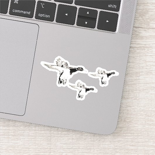 Stormo di germani reali aufkleber (Detail)